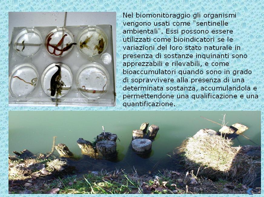  Clicca sull'immagine per andare avanti