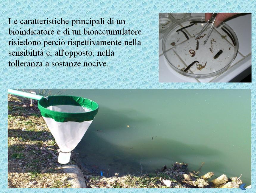  Clicca sull'immagine per andare avanti