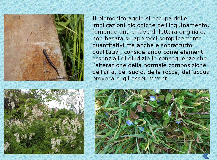  Clicca sull'immagine per tornare alla pagina iniziale